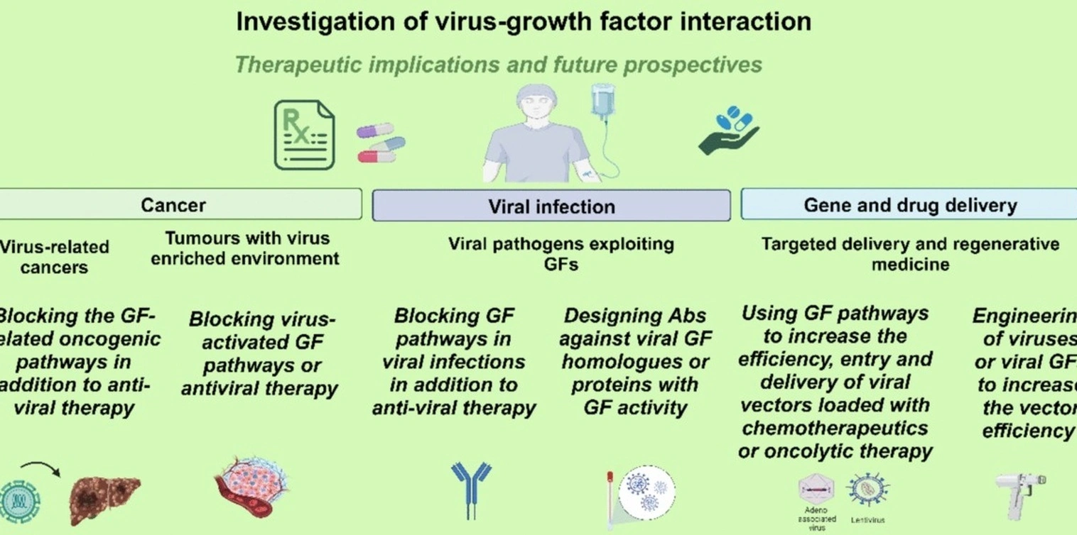 Viral growth strategy workspace